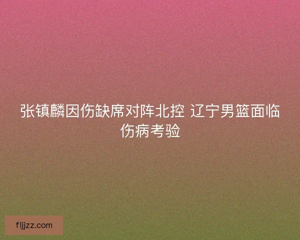 张镇麟因伤缺席对阵北控 辽宁男篮面临伤病考验
