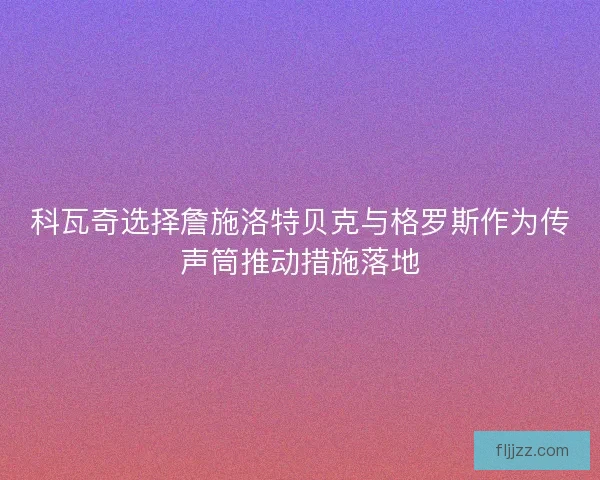 科瓦奇选择詹施洛特贝克与格罗斯作为传声筒推动措施落地